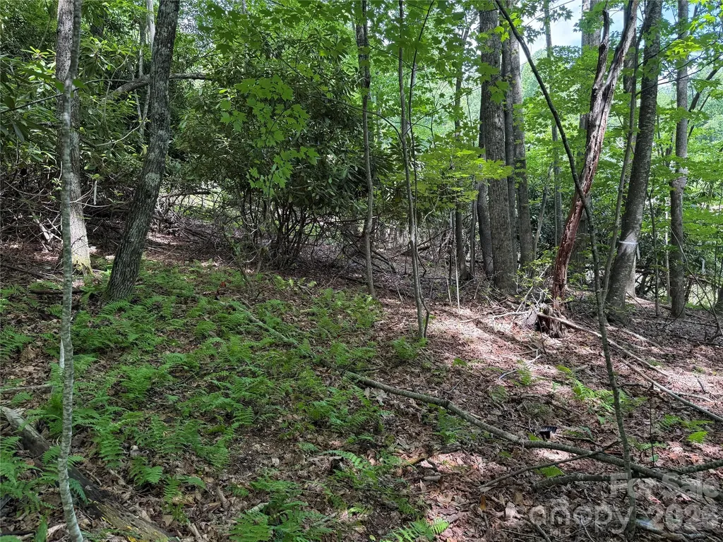 0000 Hardwood Summit Drive Hendersonville NC 28739