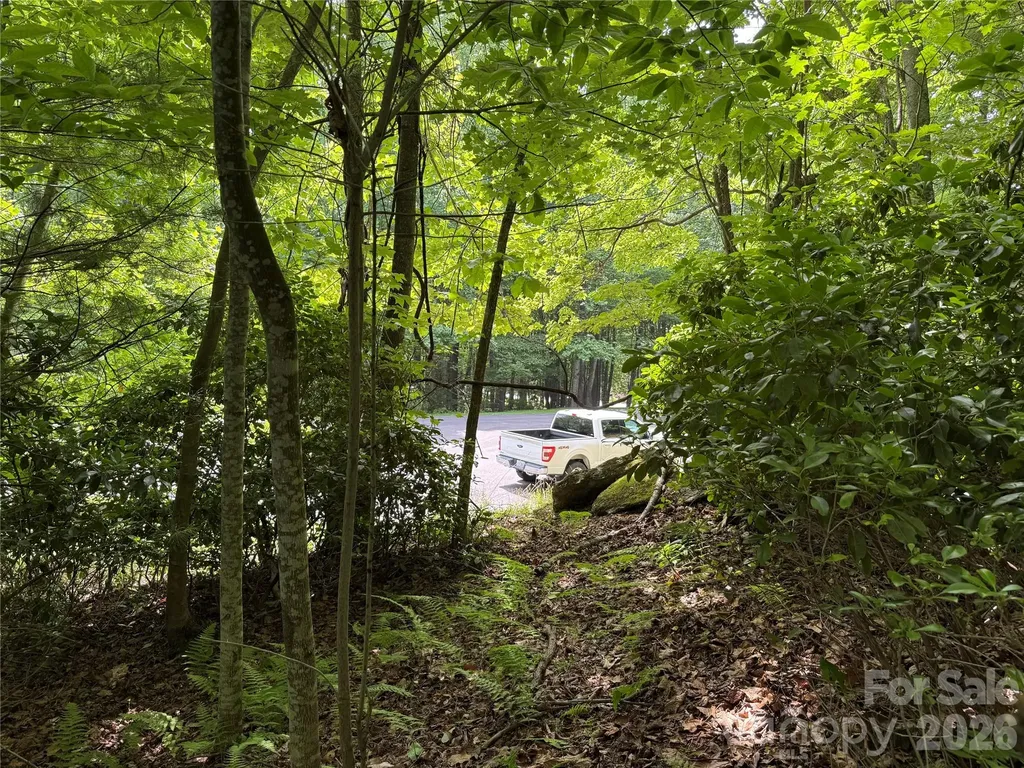 0000 Hardwood Summit Drive Hendersonville NC 28739