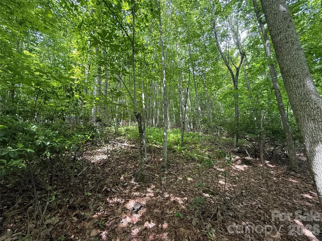 0000 Hardwood Summit Drive Hendersonville NC 28739