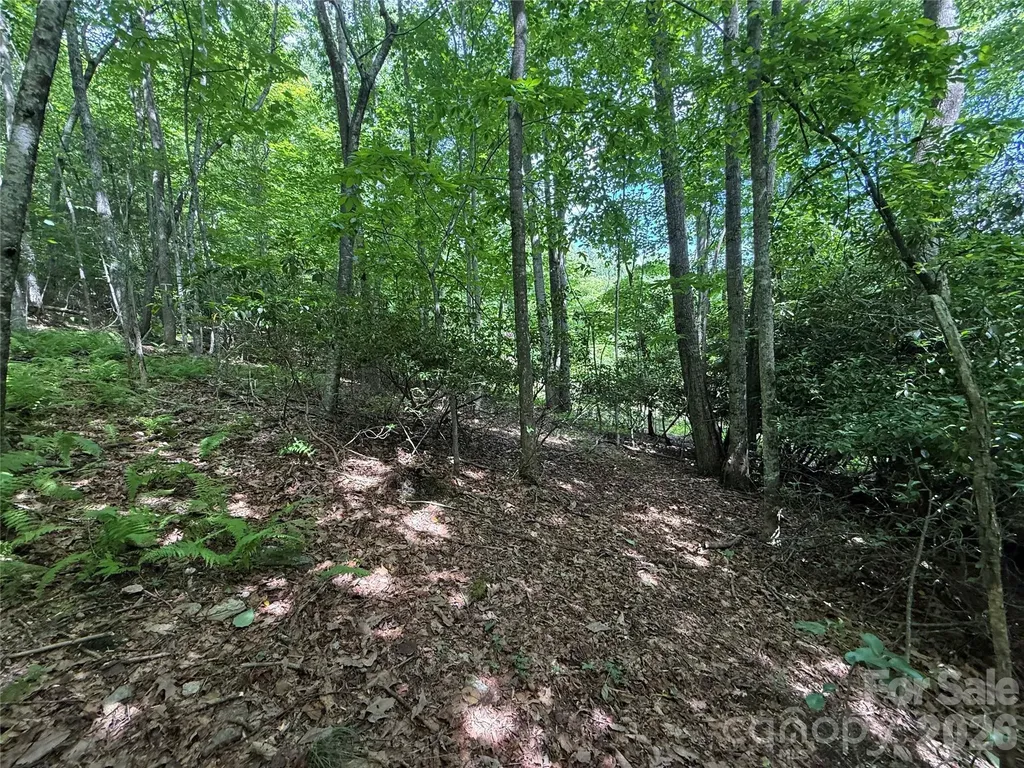 0000 Hardwood Summit Drive Hendersonville NC 28739