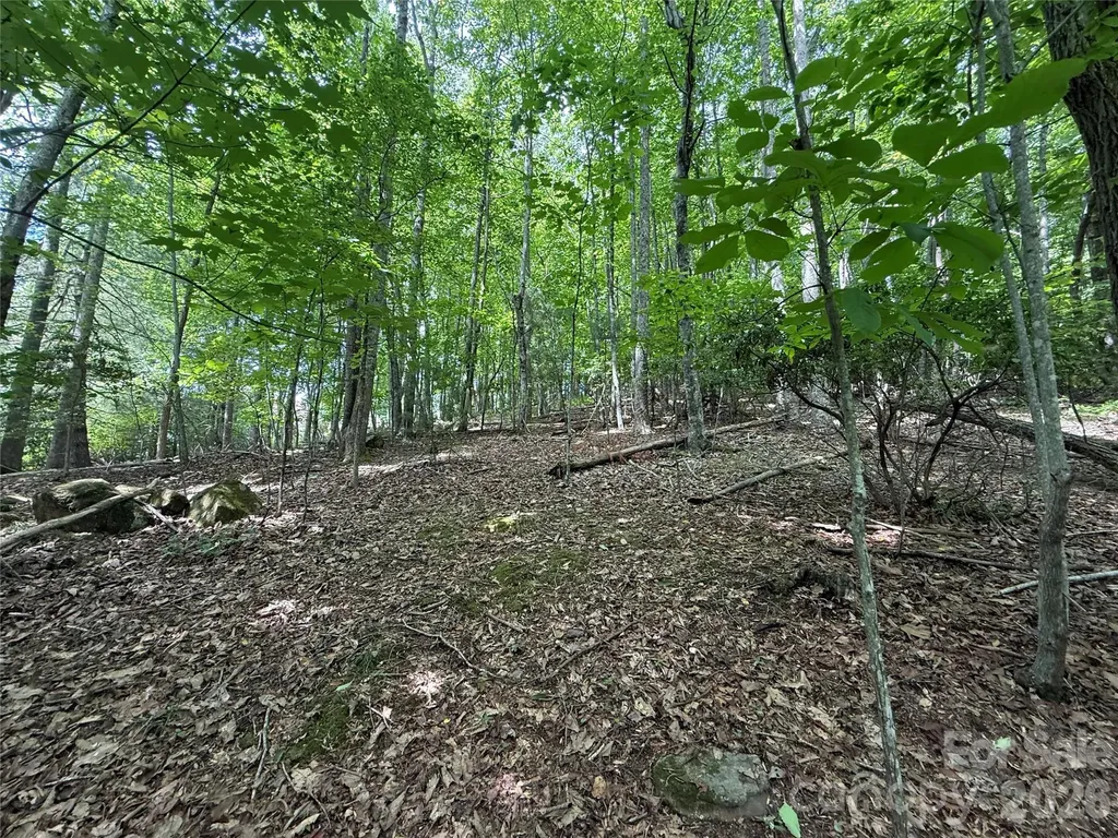 0000 Hardwood Summit Drive Hendersonville NC 28739