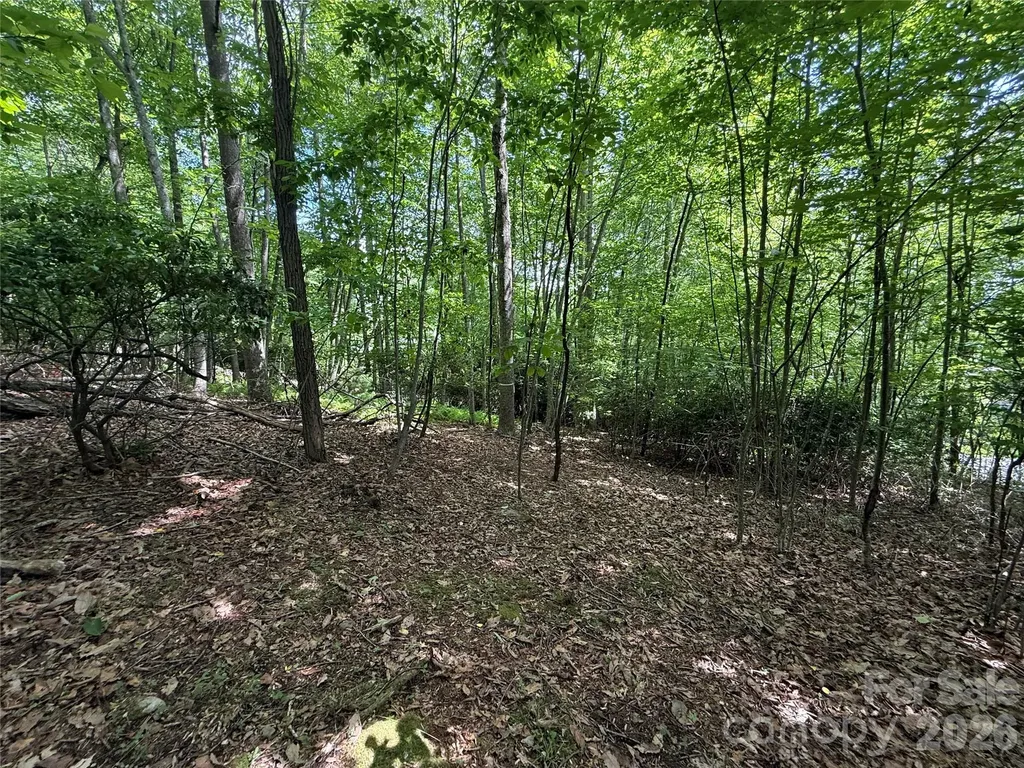 0000 Hardwood Summit Drive Hendersonville NC 28739