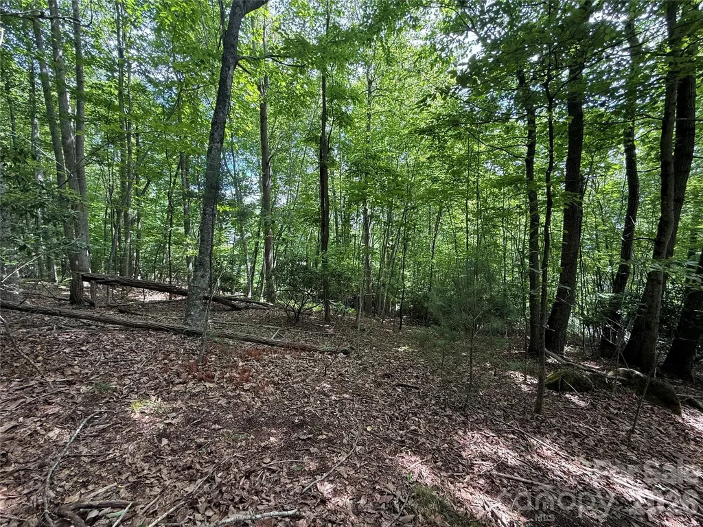 0000 Hardwood Summit Drive Hendersonville NC 28739