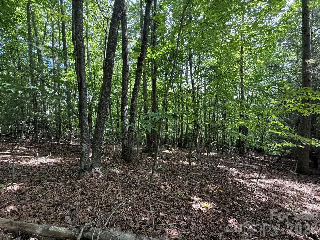 0000 Hardwood Summit Drive Hendersonville NC 28739