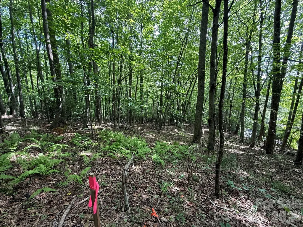 0000 Hardwood Summit Drive Hendersonville NC 28739