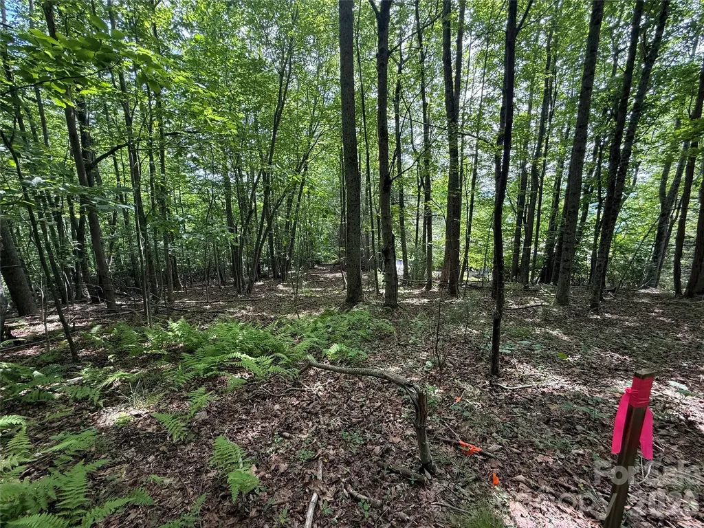 0000 Hardwood Summit Drive Hendersonville NC 28739