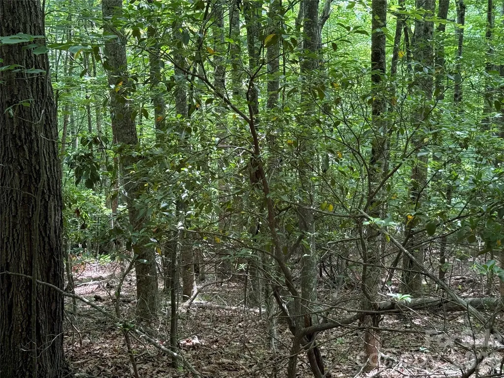 0000 Hardwood Summit Drive Hendersonville NC 28739