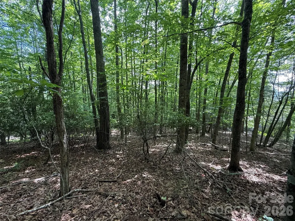 0000 Hardwood Summit Drive Hendersonville NC 28739