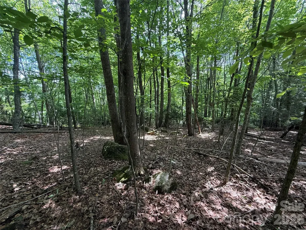 0000 Hardwood Summit Drive Hendersonville NC 28739