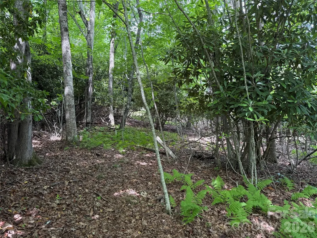 0000 Hardwood Summit Drive Hendersonville NC 28739