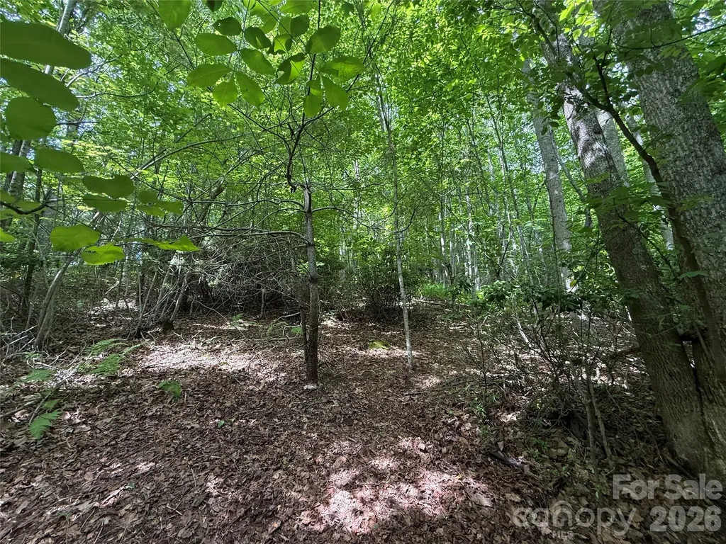 0000 Hardwood Summit Drive Hendersonville NC 28739