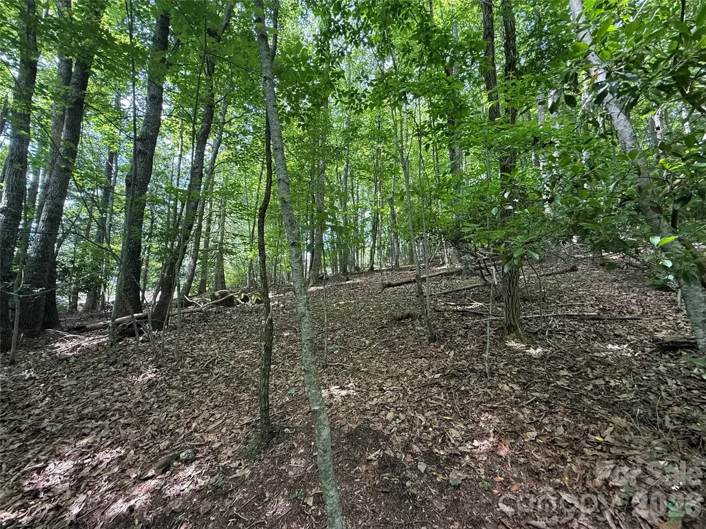0000 Hardwood Summit Drive Hendersonville NC 28739