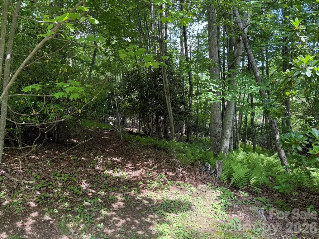 0000 Hardwood Summit Drive Hendersonville NC 28739