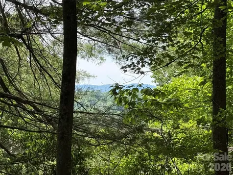 0000 Hardwood Summit Drive Hendersonville NC 28739