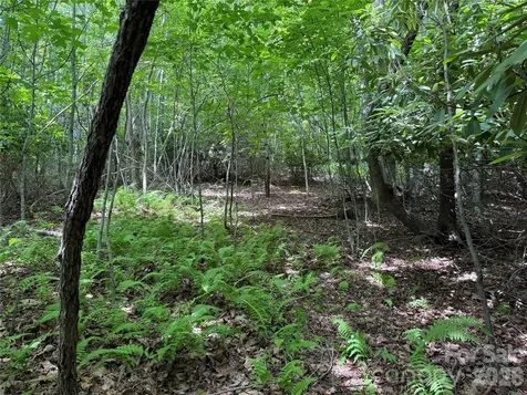 0000 Hardwood Summit Drive Hendersonville NC 28739