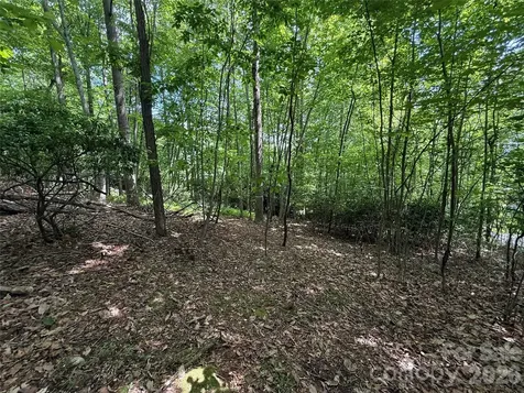 0000 Hardwood Summit Drive Hendersonville NC 28739