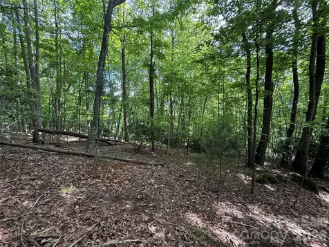 0000 Hardwood Summit Drive Hendersonville NC 28739