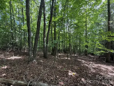 0000 Hardwood Summit Drive Hendersonville NC 28739