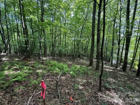 0000 Hardwood Summit Drive Hendersonville NC 28739