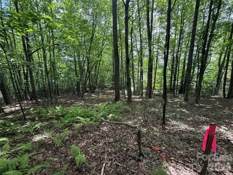 0000 Hardwood Summit Drive Hendersonville NC 28739