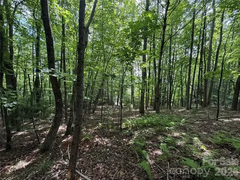 0000 Hardwood Summit Drive Hendersonville NC 28739