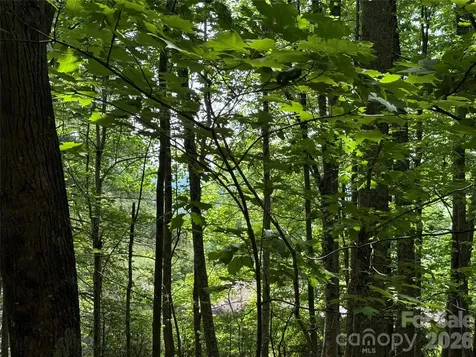 0000 Hardwood Summit Drive Hendersonville NC 28739