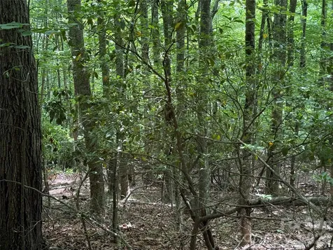 0000 Hardwood Summit Drive Hendersonville NC 28739