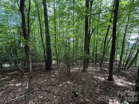 0000 Hardwood Summit Drive Hendersonville NC 28739