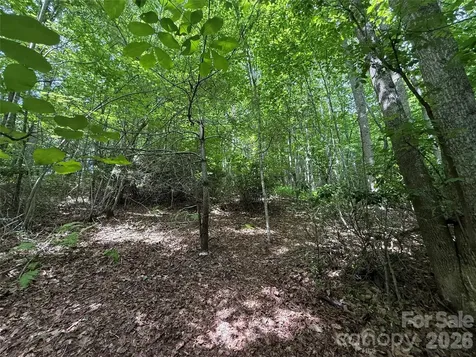 0000 Hardwood Summit Drive Hendersonville NC 28739