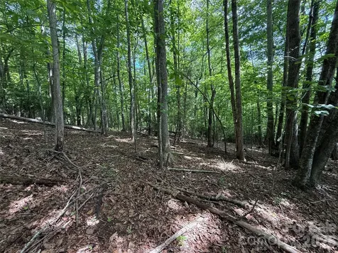 0000 Hardwood Summit Drive Hendersonville NC 28739