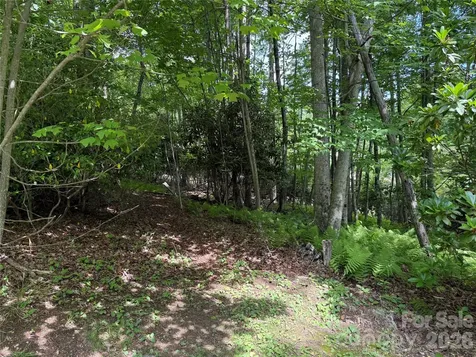 0000 Hardwood Summit Drive Hendersonville NC 28739