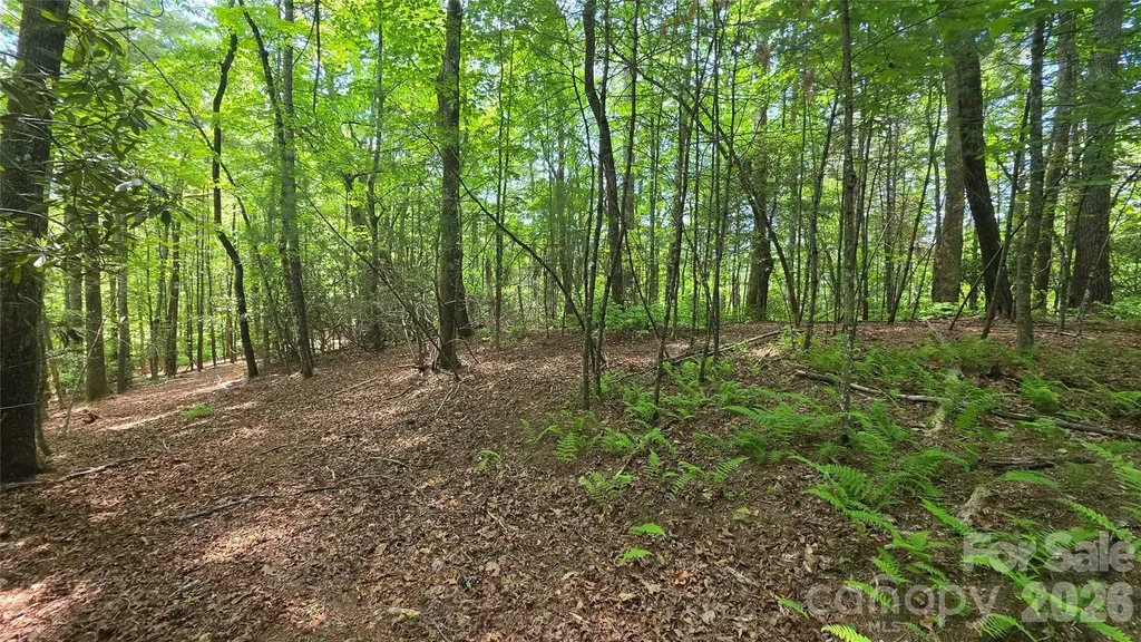 262 Wingfield Way Brevard NC 28712