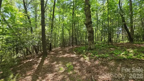 262 Wingfield Way Brevard NC 28712