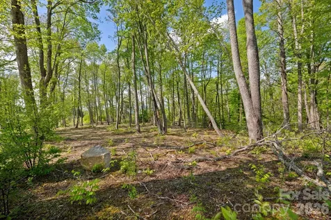 576 Eagle Springs Trail Banner Elk NC 28604