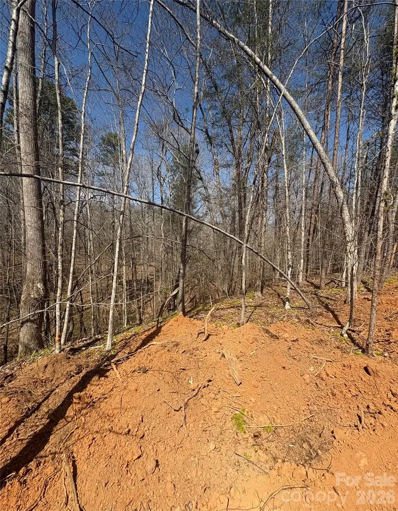 5318 Avenida De Oro Road Morganton NC 28655