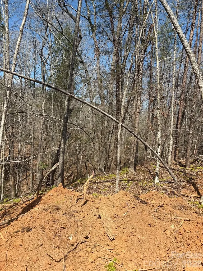 5318 Avenida De Oro Road Morganton NC 28655