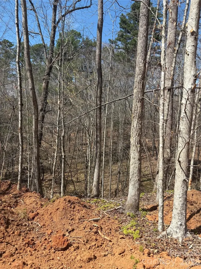 5318 Avenida De Oro Road Morganton NC 28655