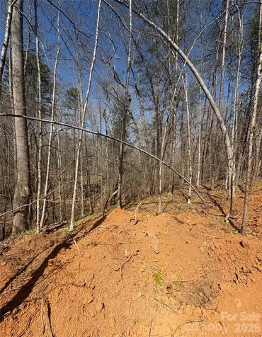 5318 Avenida De Oro Road Morganton NC 28655