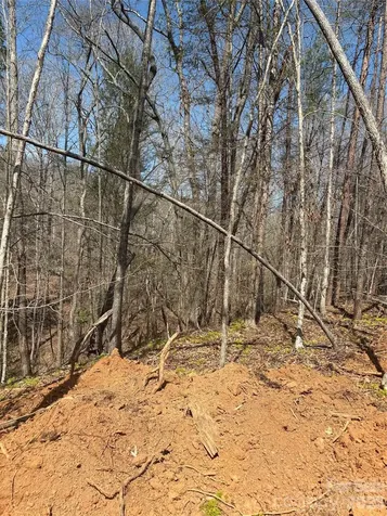 5318 Avenida De Oro Road Morganton NC 28655