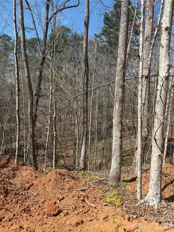 5318 Avenida De Oro Road Morganton NC 28655