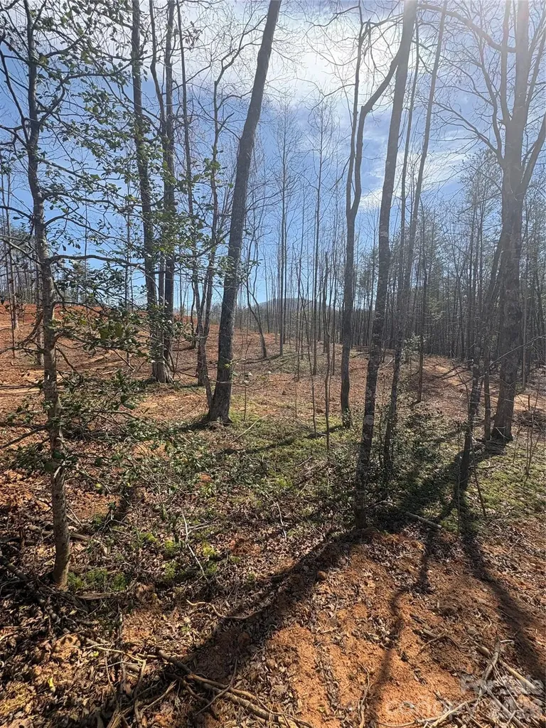 5311 Avenida De Oro Road Morganton NC 28655
