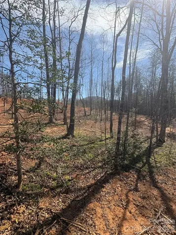 5311 Avenida De Oro Road Morganton NC 28655