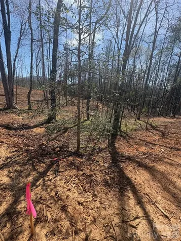 5311 Avenida De Oro Road Morganton NC 28655