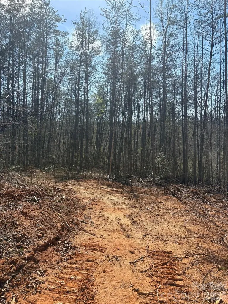 5321 Avenida De Oro Road Morganton NC 28655