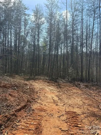 5321 Avenida De Oro Road Morganton NC 28655