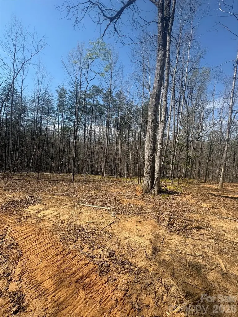5310 Avenida De Oro Road Morganton NC 28655