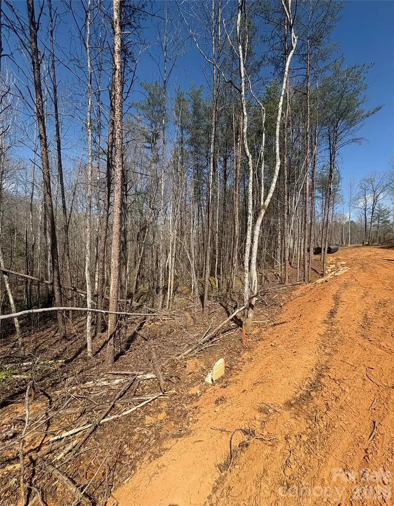 5310 Avenida De Oro Road Morganton NC 28655