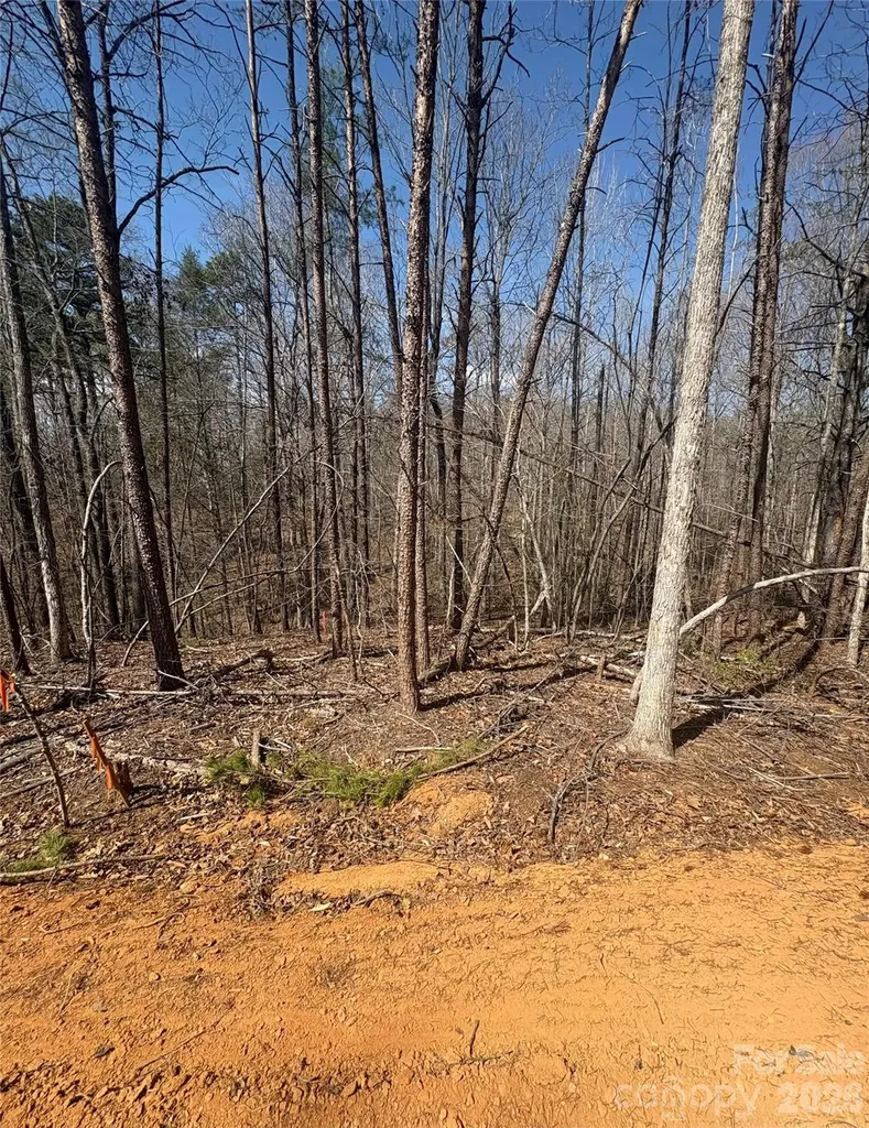 5310 Avenida De Oro Road Morganton NC 28655