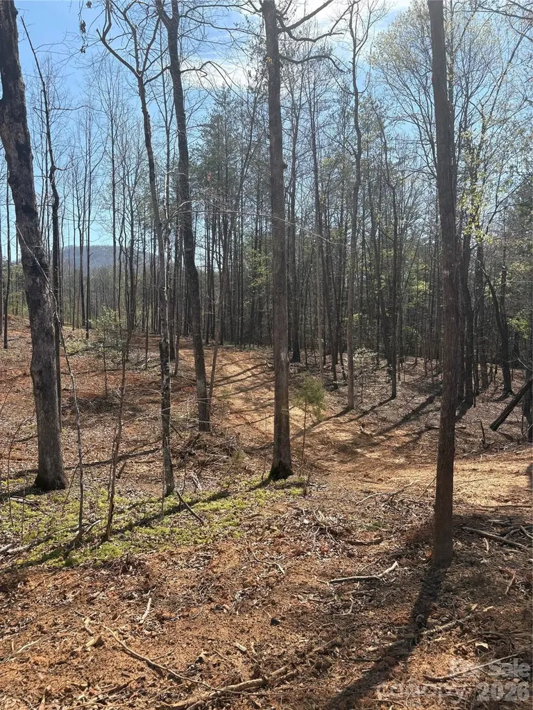 5317 Avenida De Oro Road Morganton NC 28655