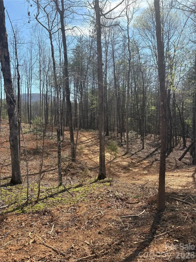 5317 Avenida De Oro Road Morganton NC 28655